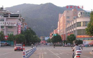 庆元县地图，庆元特产