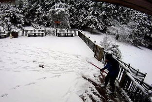 重庆下雪的地方，重庆下雪时间