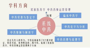 对标一流是什么意思