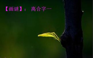 离合字谜语，离合字形析字法