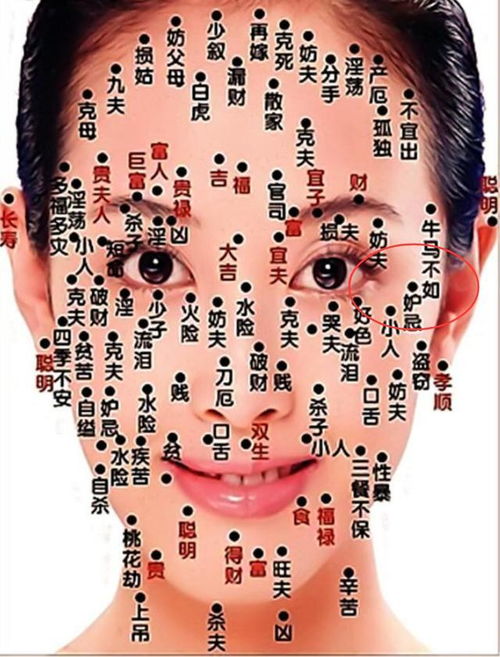 七星痣一般在什么地方?