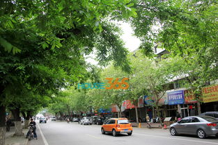 中山南路1号，中山南路派出所