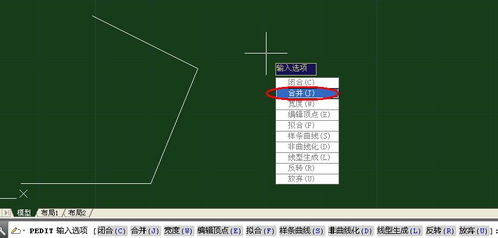cad两条线合并成一条线怎么把另外一条显示出来，cad两条线段合并成一条