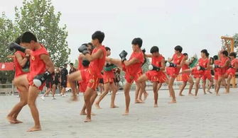 全国十大武校排名榜，中国第一武校