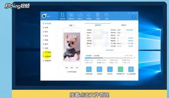 苹果怎么查看本地文件app，iphone本地文件管理在哪