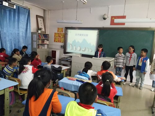 综合实践活动作文怎么写