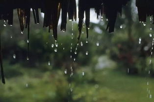 关于下雨的歌曲有哪些，关于下雨的歌曲有哪些好听的 百度网盘