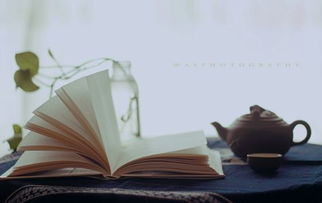 读书使人优美的中心论点，读书使人优美的一个理由
