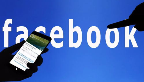 face book 是什么意思