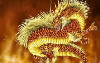 十二生肖中属龙和属狗的相冲吗