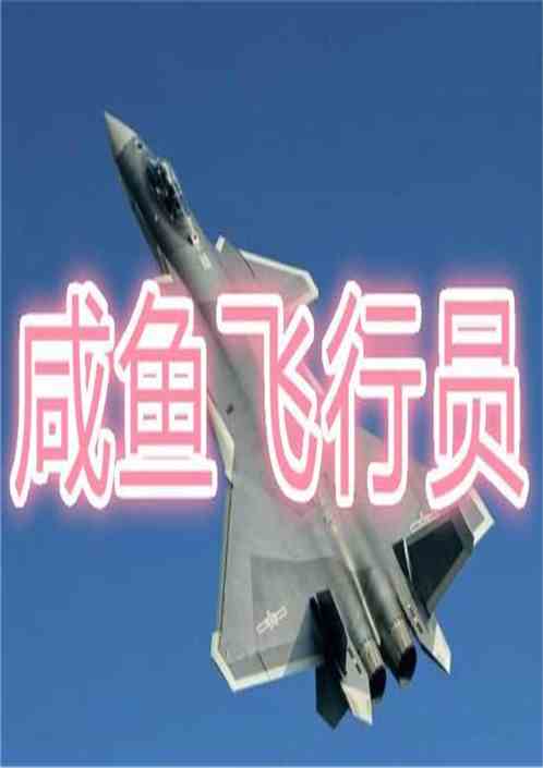 男主是歼击机飞行员的小说