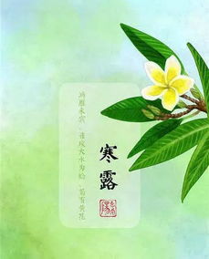 霜降寒露是什么意思，寒露是什么意思呢形容露气
