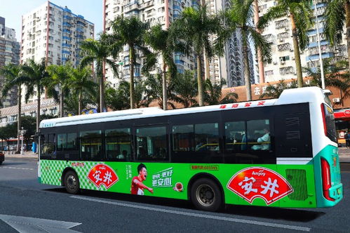 珠海36路公交车到远洋大信都新会吗