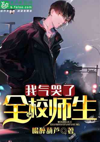 战斗机飞行员小说，林凡飞行员小说