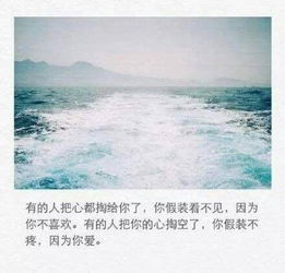 感情淡了意味着什么