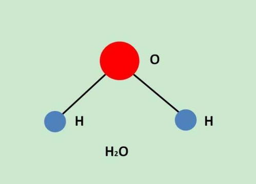 水分子是由什么构成的