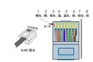 5类网线水晶头接法