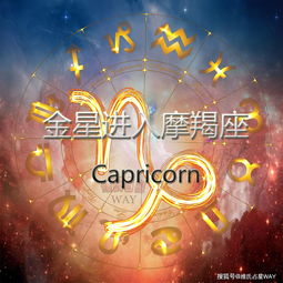 金星摩羯是什么时候出生的?