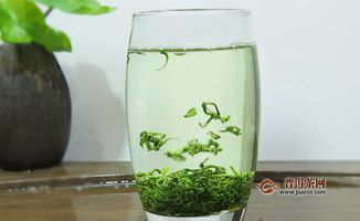 陈茶能喝吗，绿茶用多少度的水泡最好