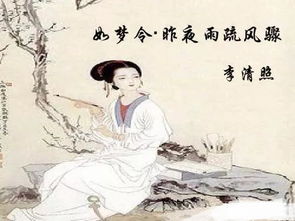 “双声词”和“叠韵词”是什么?