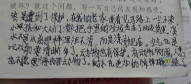小练笔200字大全写事，观察小练笔200字大全
