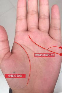 看手相真的准吗