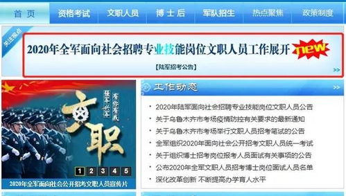 低学历人可以学的技术有哪些?