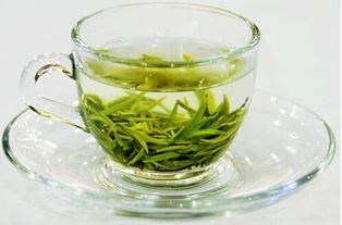 喝绿茶可以瘦身吗，绿茶能瘦身吗