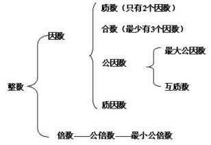 96的因数有什么?