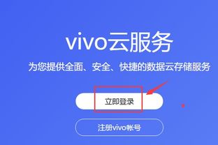 vivo账户登录密码忘记了怎么解密码，vivo账户登录插件下载