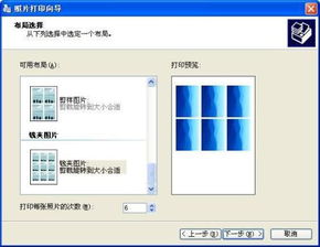 6张图片排版在a4纸上用ps，6张图片排版在a4纸上,怎么出来的照片一样