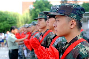 女生当兵学历要求，河南当兵学历要求