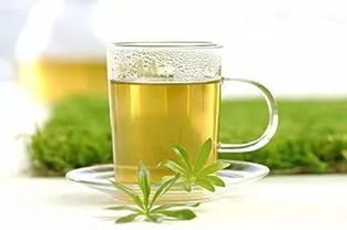 绿茶可以减肥吗