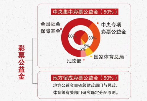 我国的社会福利制度有哪些