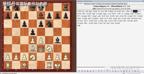 他在下国际象棋用英语怎么说，下国际象棋用英语怎么说怎么写