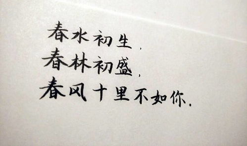 “春风十里不如你”什么意思?