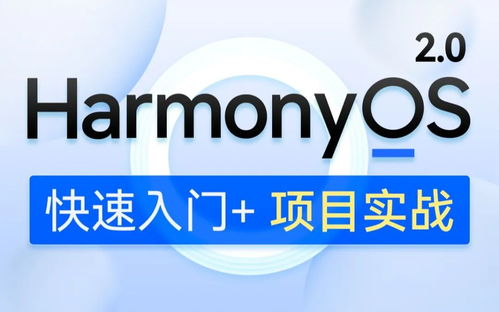 黑马程序员官网网页版，黑马程序员官网为什么没有Java后端