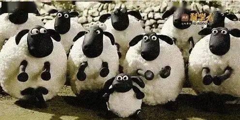 sheep什么意思中文