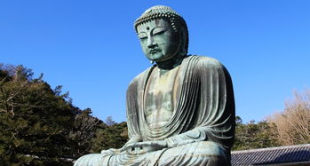 日本比奥特曼还大的特大佛都在哪里呢?