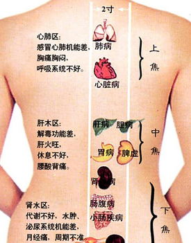 开背的好处及作用