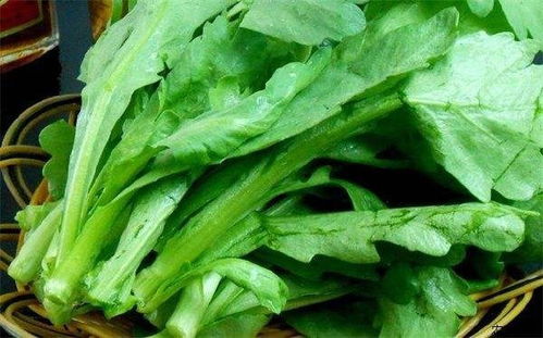 什么菜煮不熟脑筋急转弯，什么菜养胃治胃病