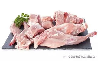 小孩吃兔子肉的功效和作用，兔子肉的功效和作用糖尿病