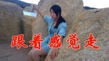 跟着感觉走,紧拉着梦的手这段歌词是哪首歌里的?