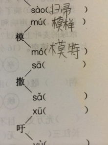 撒的组词有哪，撒的组词是什么