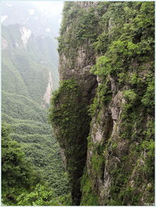 横看成岭侧成峰侧全诗，会当凌绝顶一览众山小