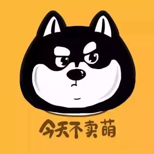 心动模式是什么，心动模式在哪里
