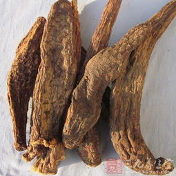 肉苁蓉的食用方法