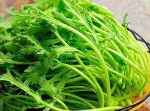 茼蒿的营养价值及功效