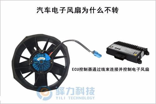 汽车空调风扇不转什么原因