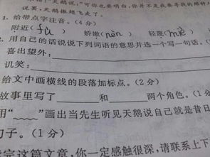 喜出望外是什么生肖，翻来覆去是什么意思